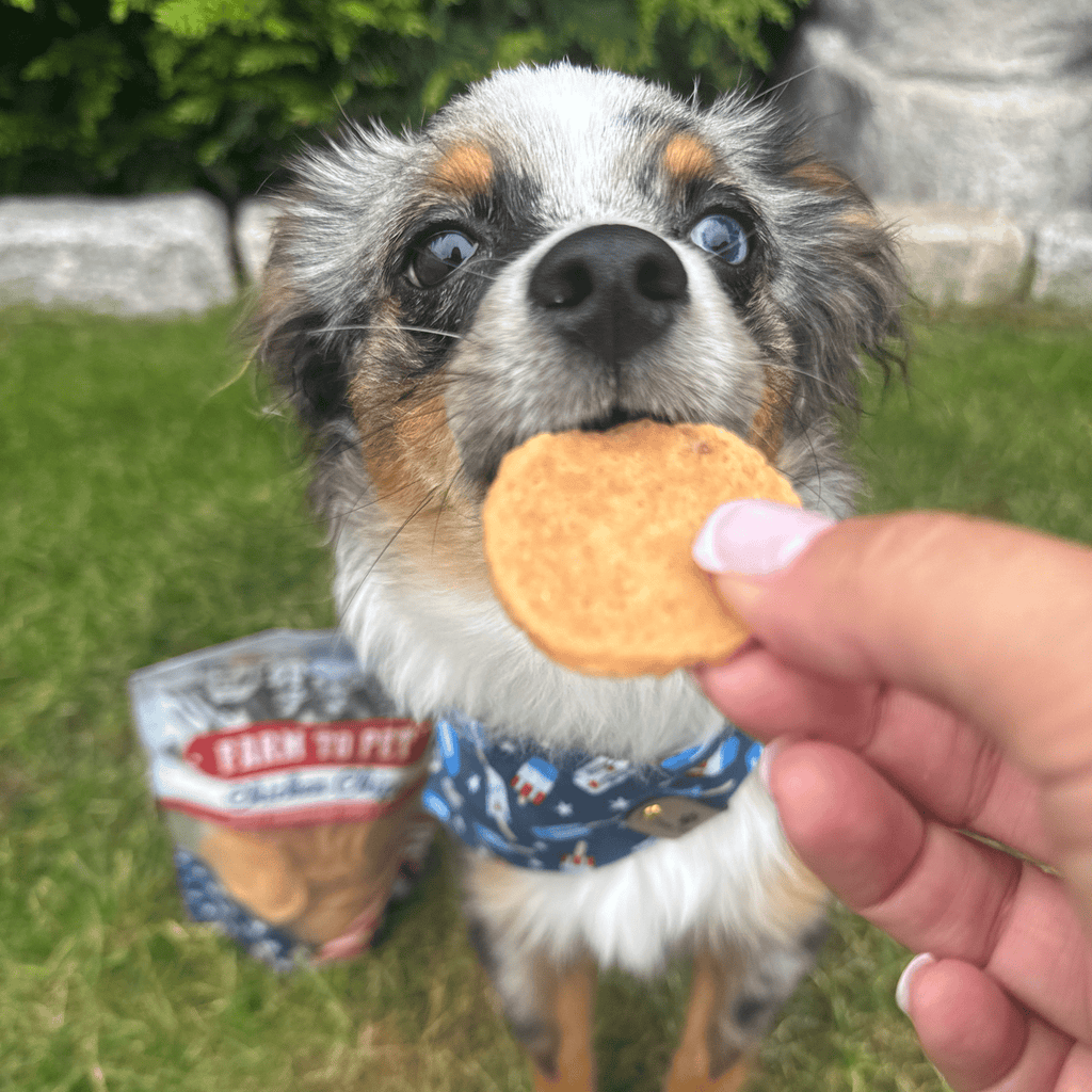 Americana Chicken Chips for Dogs | Celebrate with USA-made Dog Treats Farm To Pet
