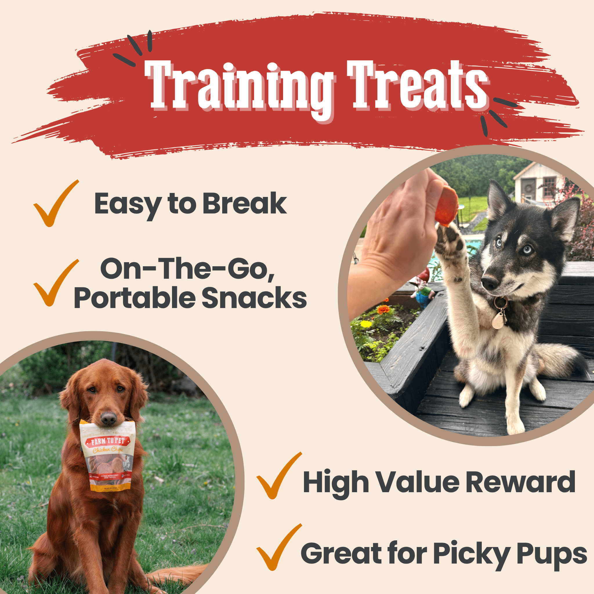 Turkey & Chicken Chip Dog Treat Duo | Single-Ingredient Poultry Treats for Dogs Farm To Pet