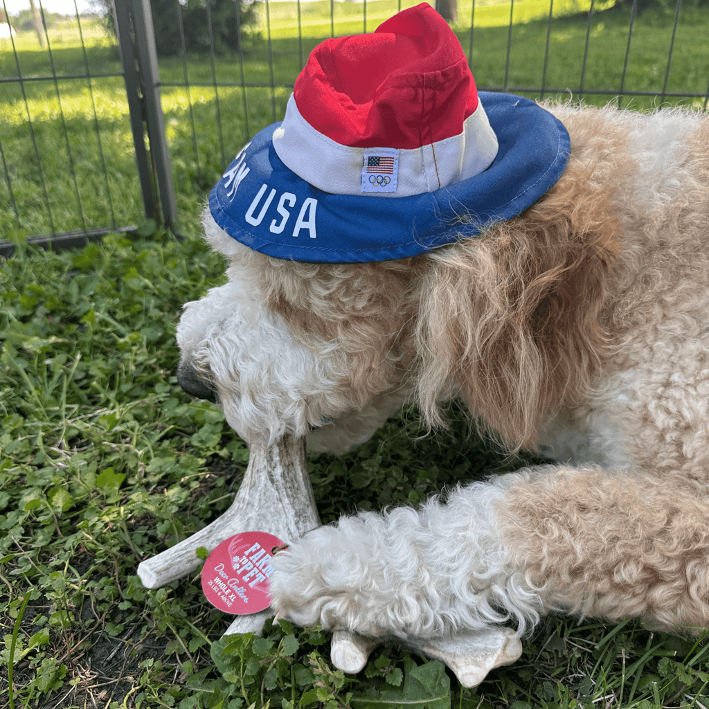 Deer Antler Dog Chews | Organic Chews for Dogs Farm To Pet
