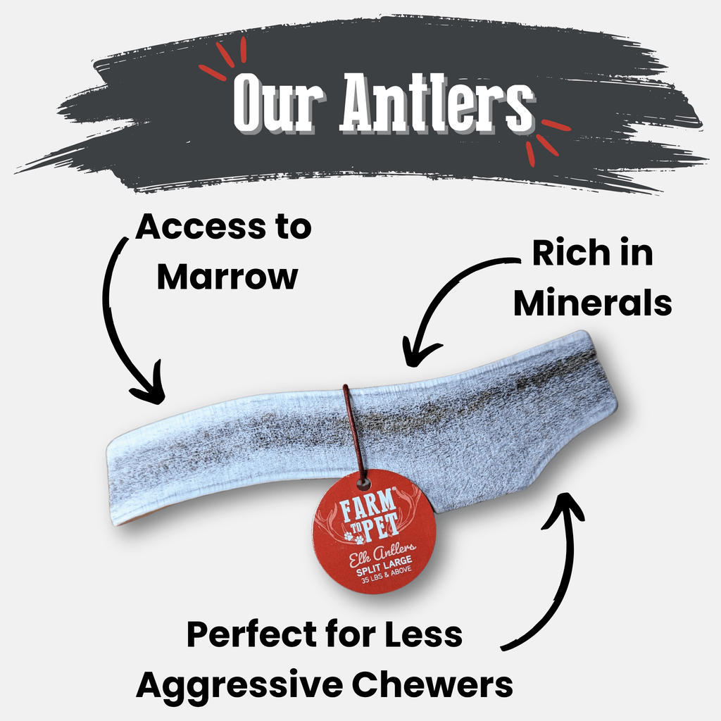 Elk Antler Dog Chews | All-Natural Whole and Split Elk Antler Chews for Dogs Farm To Pet
