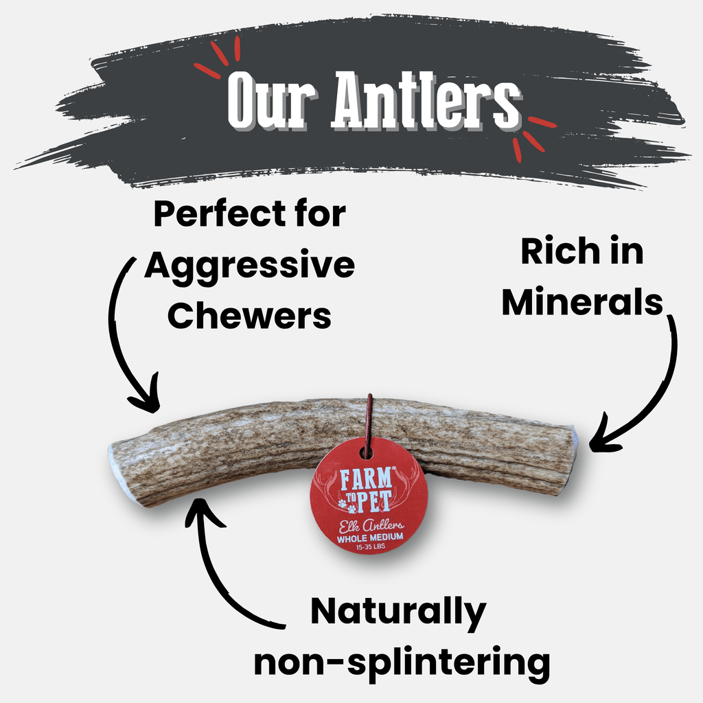 Elk Antler Dog Chews | All-Natural Whole and Split Elk Antler Chews for Dogs Farm To Pet