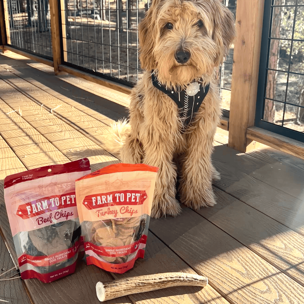 Reindeer Antler Dog Chews | Organic Chews for Dogs Farm To Pet