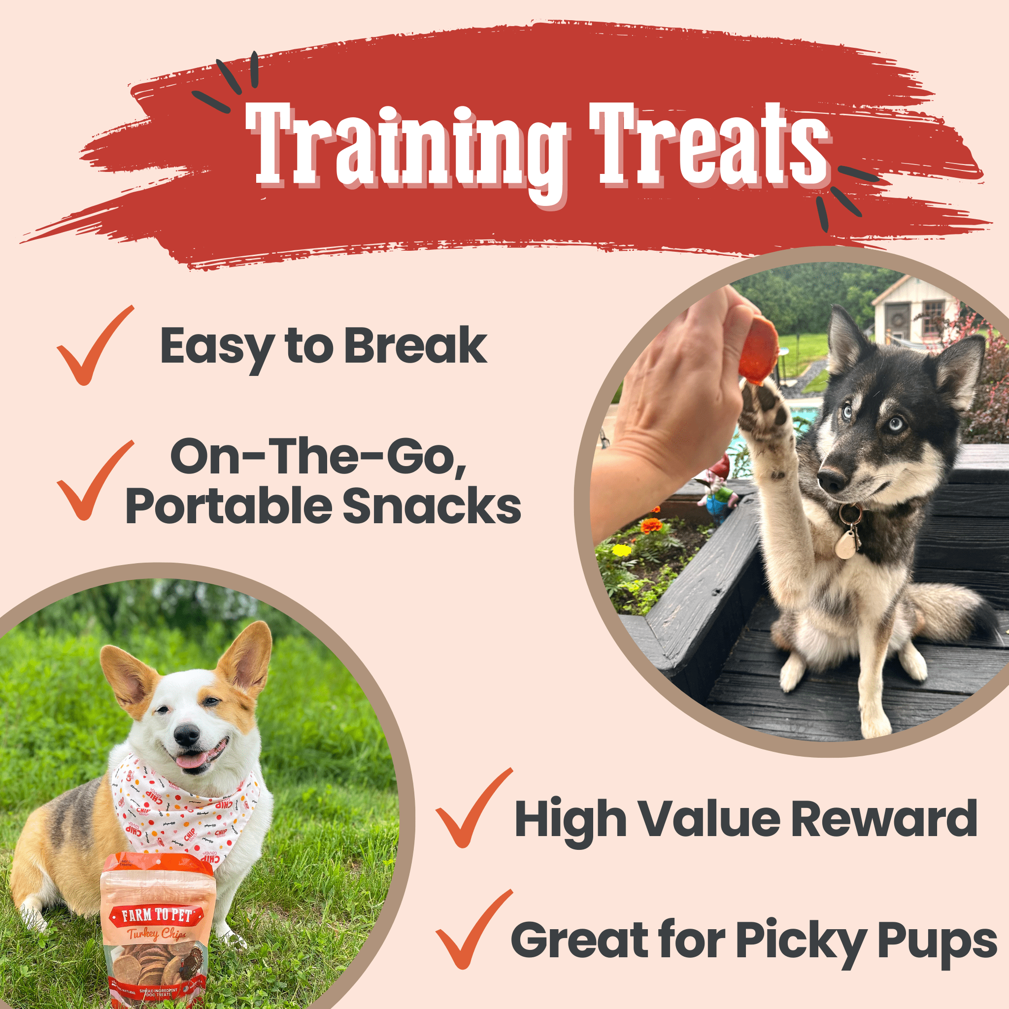 Turkey Chips for Dogs | All-Natural Single-Ingredient Healthy Dog Treats Farm To Pet