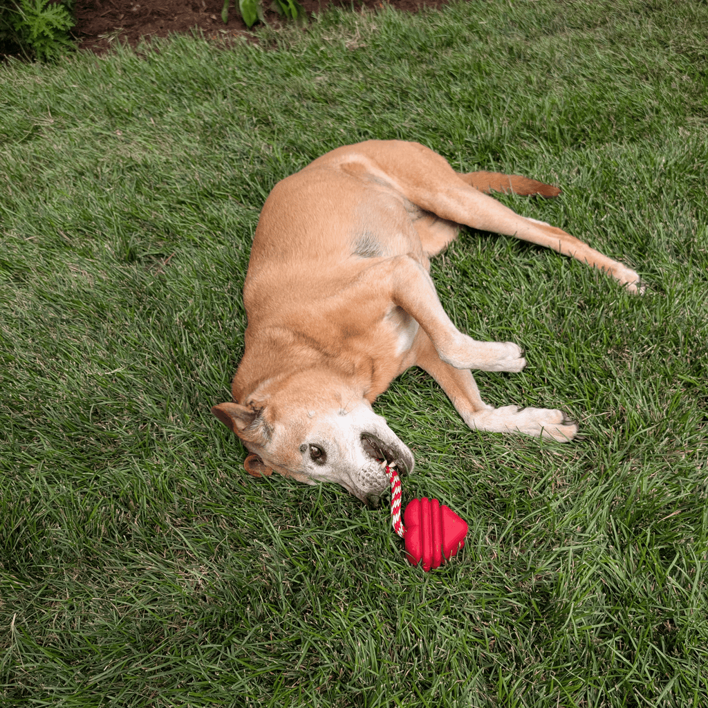Tug Toys Farm To Pet