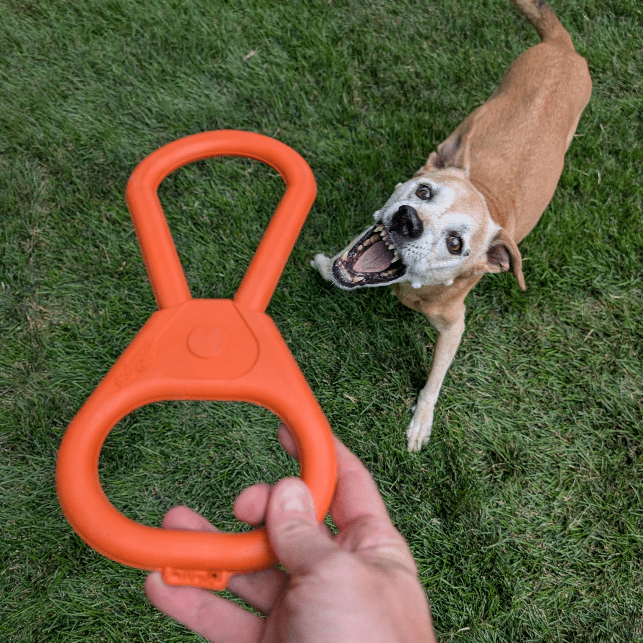 Tug Toys Farm To Pet