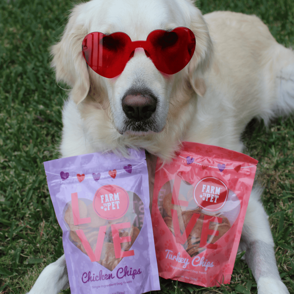 Puppy Love Dog Treat Duo | Poultry Chip Variety Pack Farm To Pet