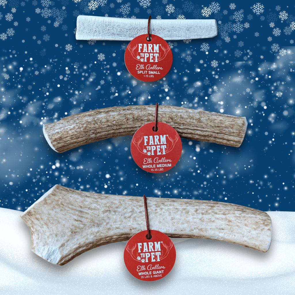 Elk Antler Dog Chews | All-Natural Whole and Split Elk Antler Chews for Dogs Farm To Pet