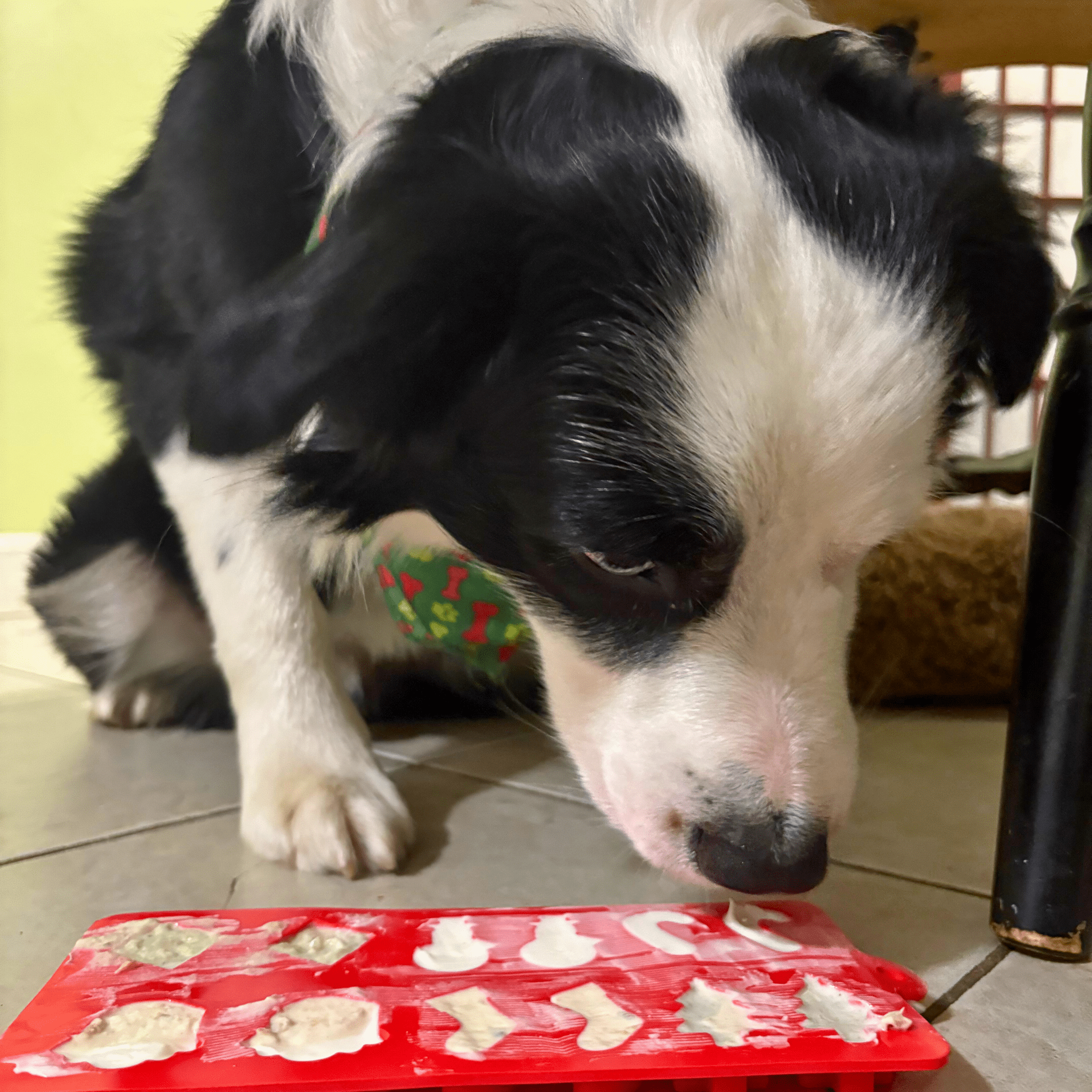 Holiday Pet Treat Mold Farm To Pet