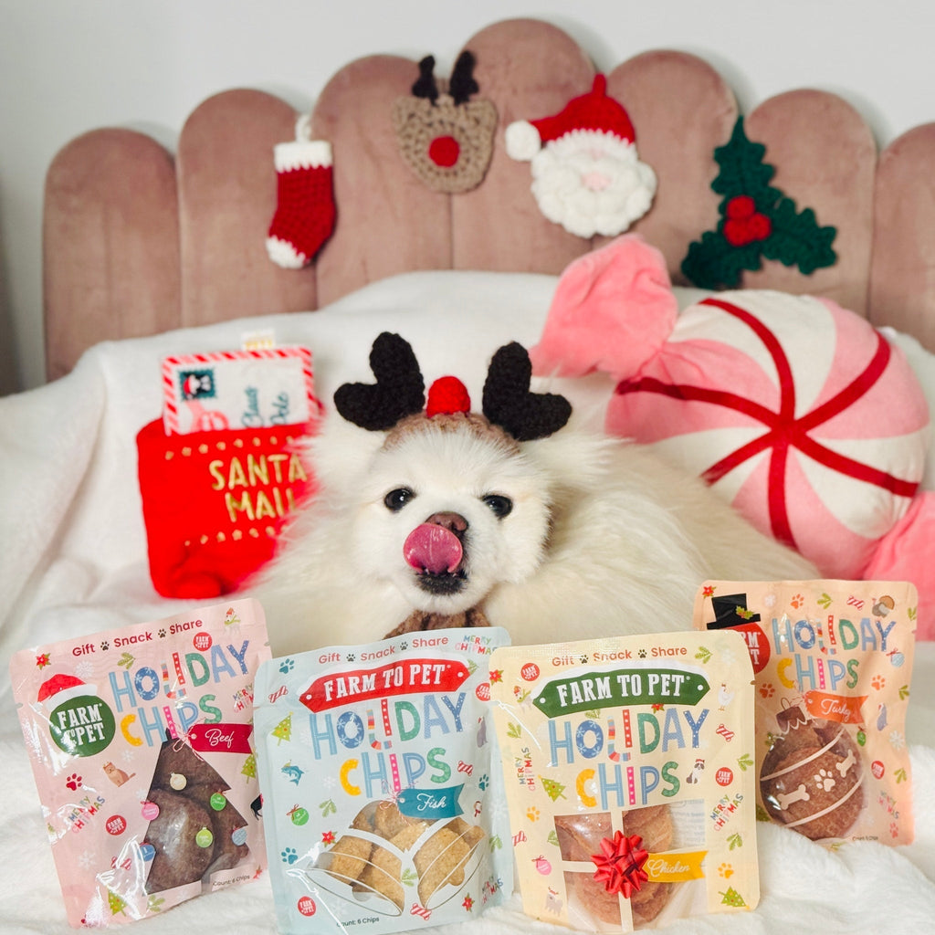 Seasons Treatings Dog Treats & Accessory Box Farm To Pet