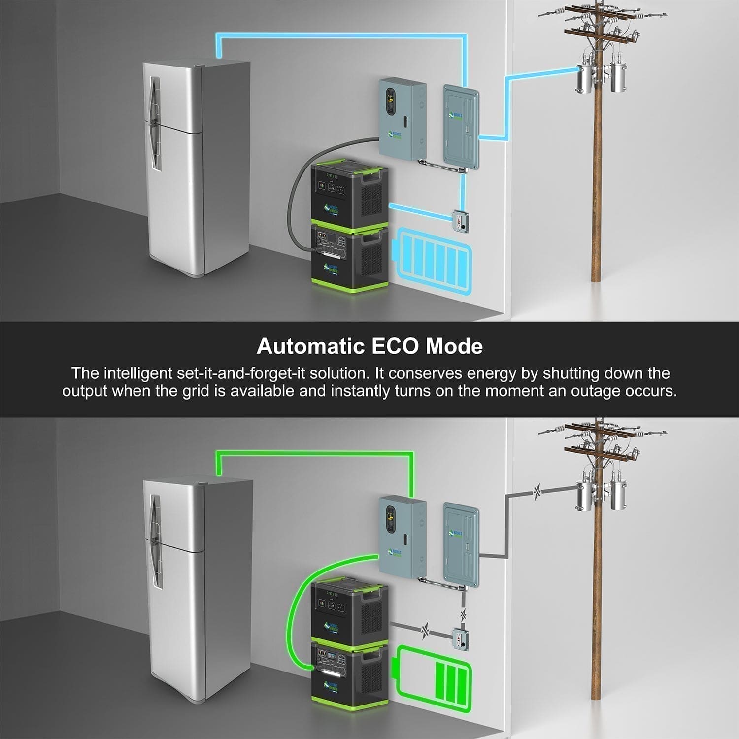 Nature's Generator Lithium 6000 and Transfer Switch Nature's Generator