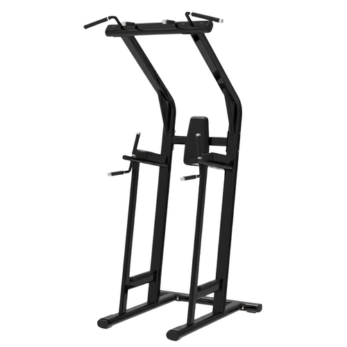 BUILD Chin Dip Leg Raise VKR Station (New) CTX Home Gyms