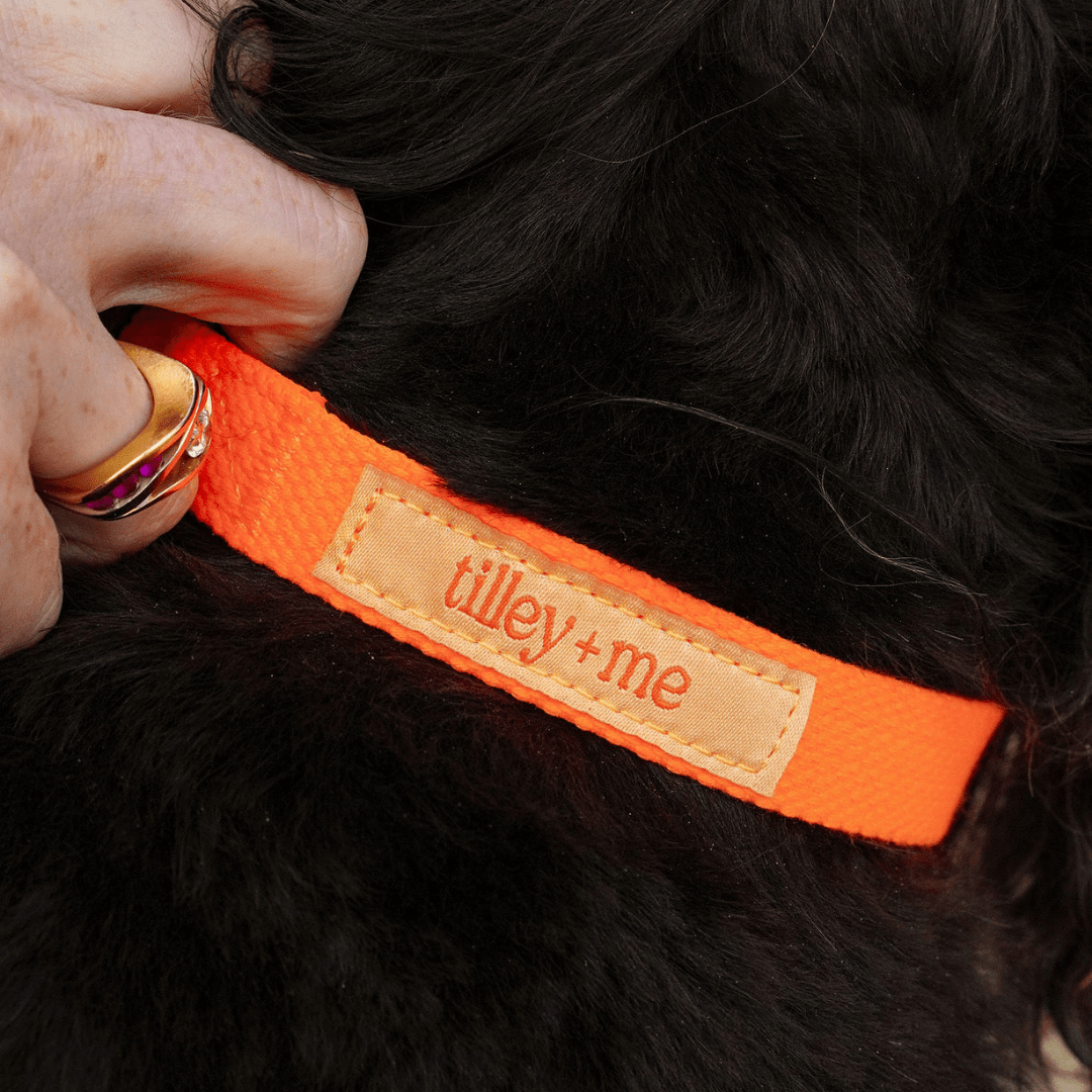 Hemp Cotton Dog Leash - Durable, Sustainable, Adjustable, Lightweight & Soft Tilley + Me