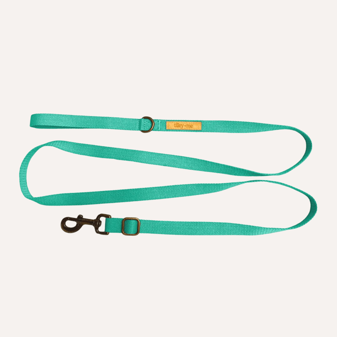 Hemp Cotton Dog Leash - Durable, Sustainable, Adjustable, Lightweight & Soft Tilley + Me