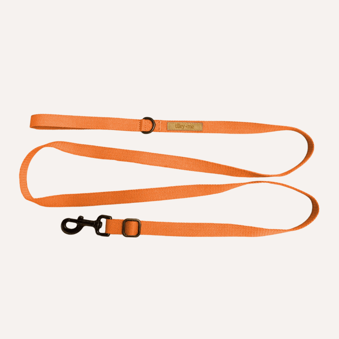 Hemp Cotton Dog Leash - Durable, Sustainable, Adjustable, Lightweight & Soft Tilley + Me