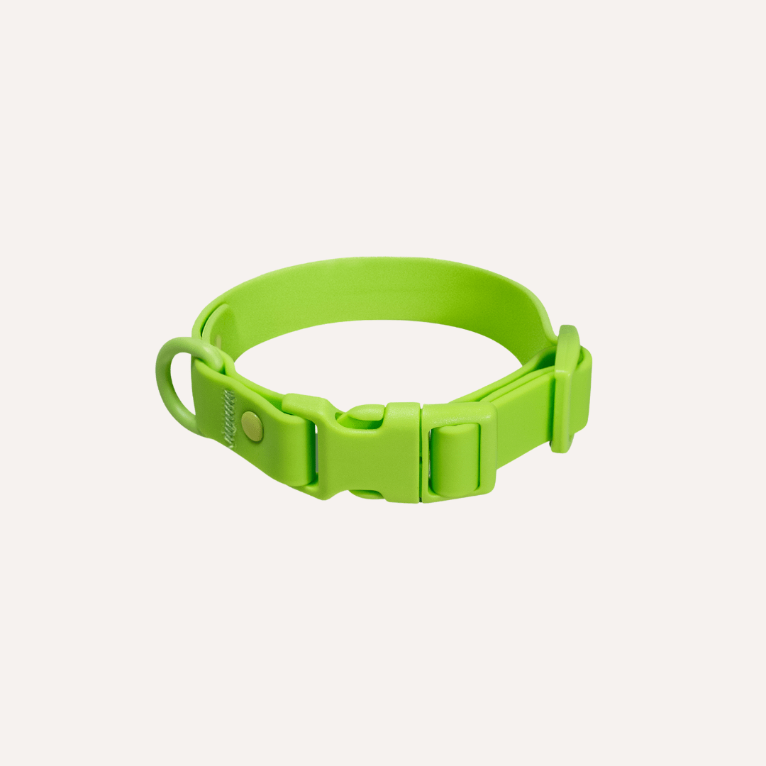PVC Dog Collar - All Weather Waterproof Durable & Odor-Resistant Tilley + Me