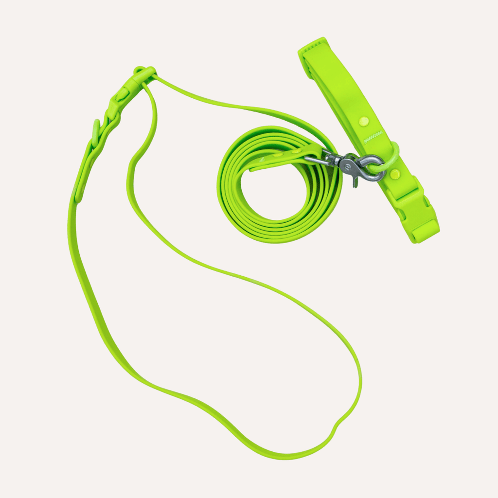 PVC Dog Collar - All Weather Waterproof Durable & Odor-Resistant Tilley + Me