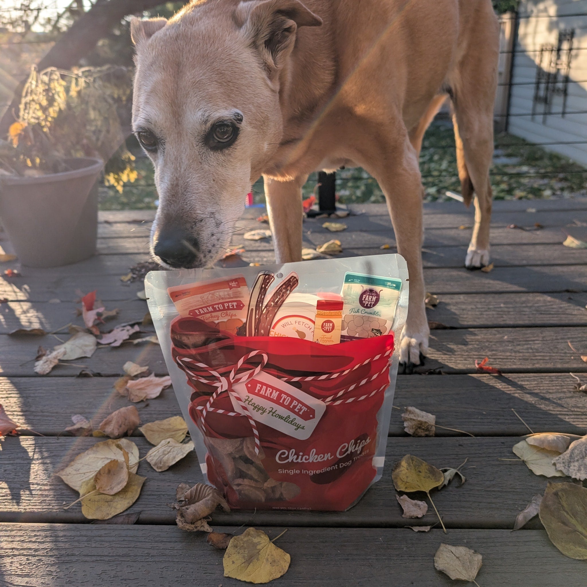 Santa Paws' Chicken Chips Gift Sack Farm To Pet