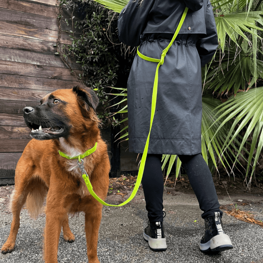 PVC Handsfree Dog Leash - All Weather Waterproof Durable & Odor-Resistant Tilley + Me