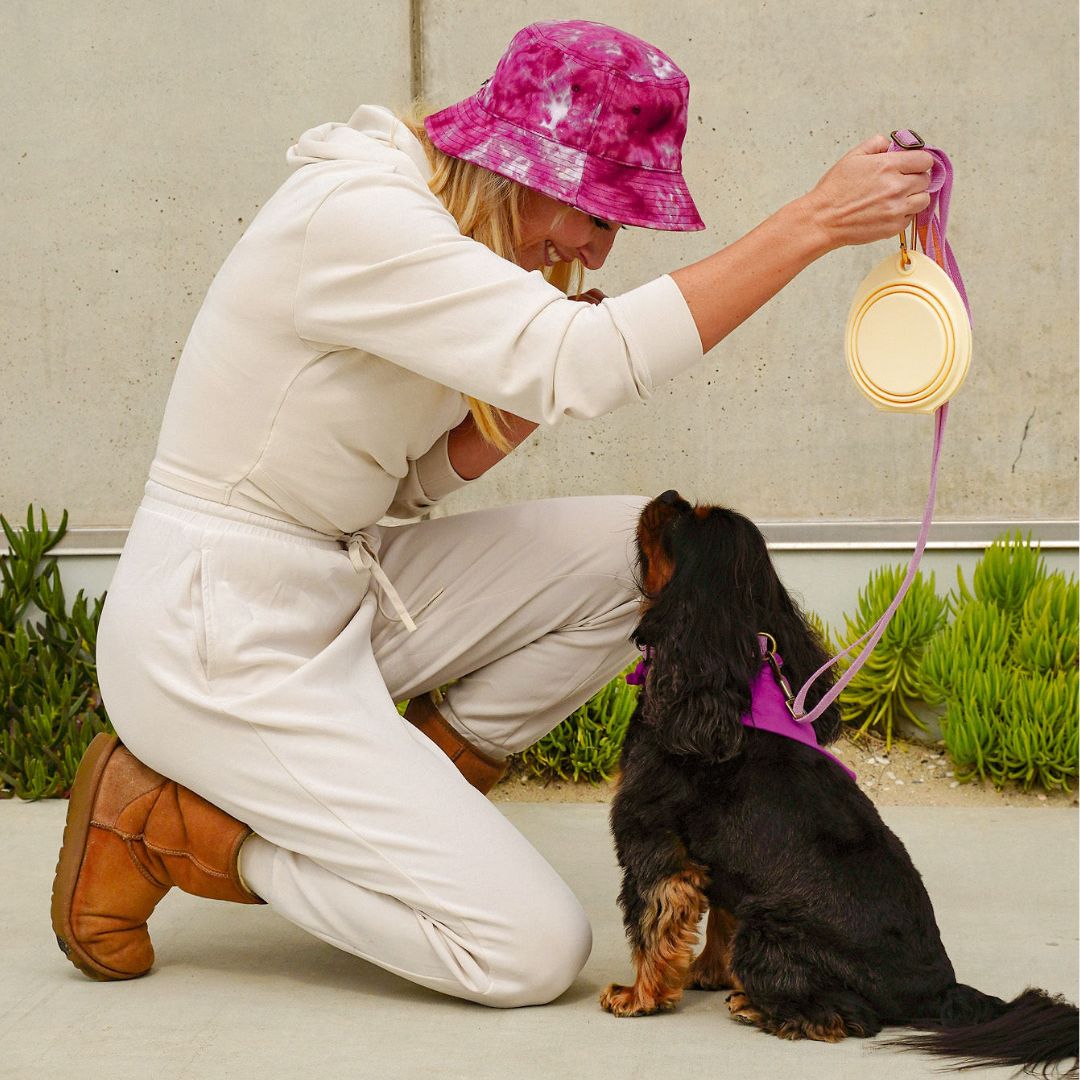 Hemp Cotton Dog Leash - Durable, Sustainable, Adjustable, Lightweight & Soft Tilley + Me