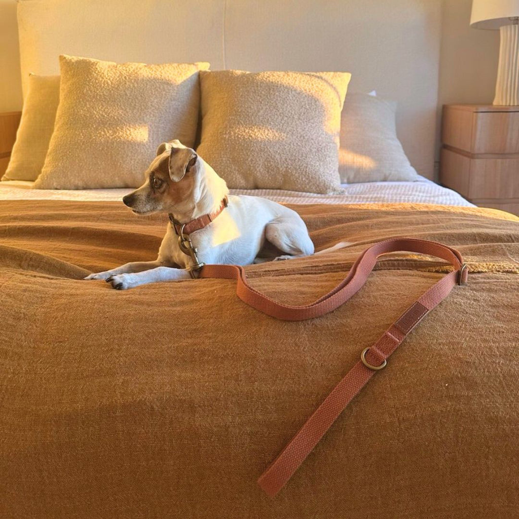 Hemp Cotton Dog Leash - Durable, Sustainable, Adjustable, Lightweight & Soft Tilley + Me