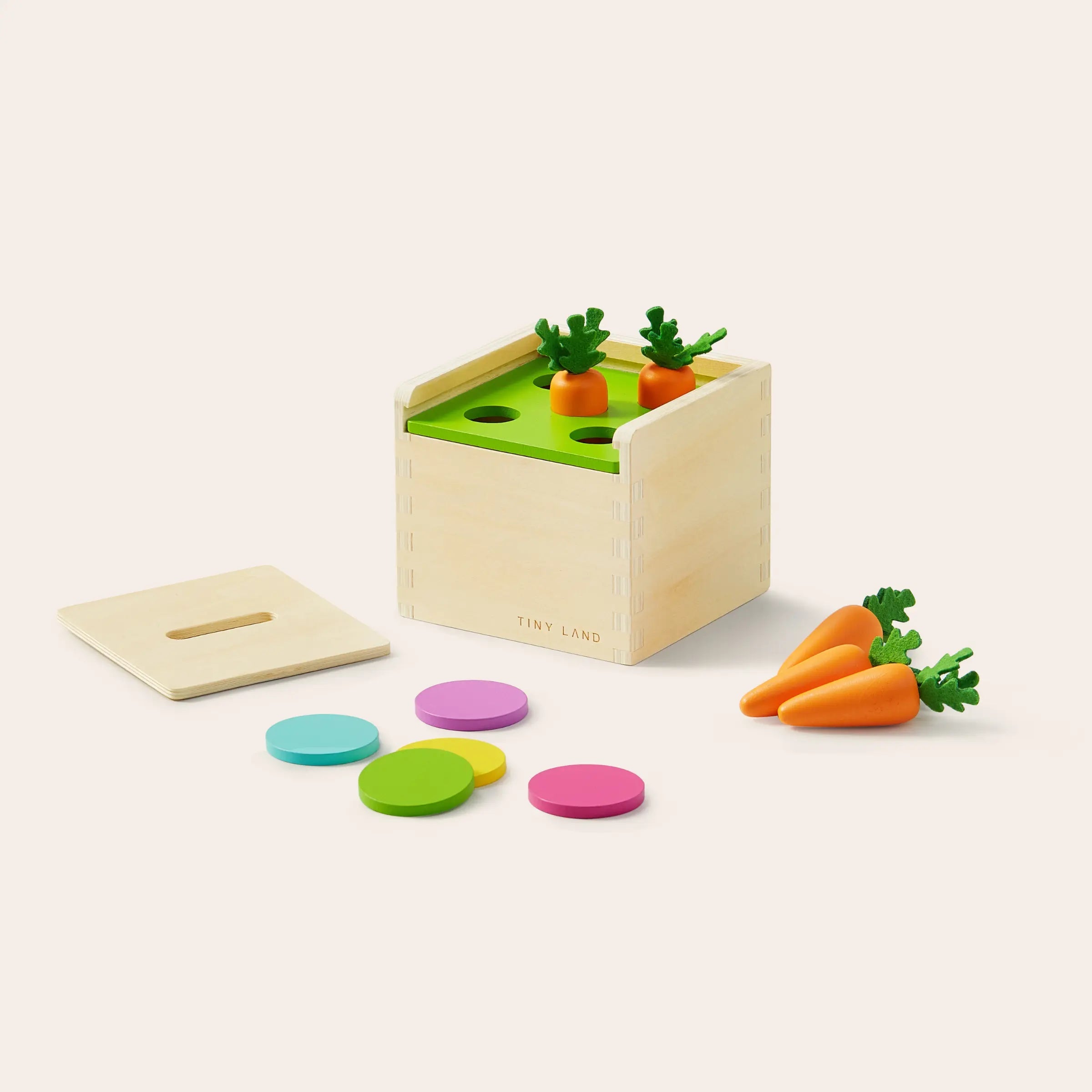 Tiny Land® Montessori Toys for Toddlers (13–15 Months) Tiny Land INC