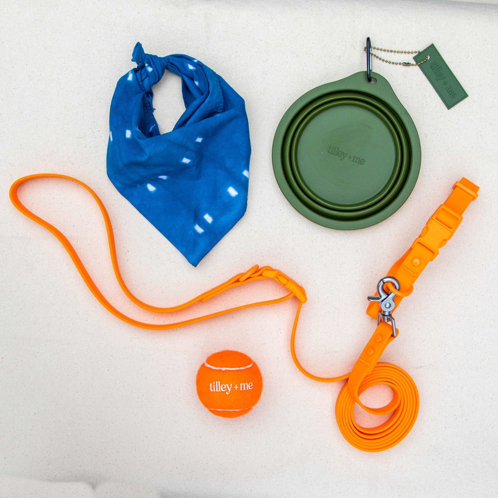 PVC Handsfree Dog Leash - All Weather Waterproof Durable & Odor-Resistant Tilley + Me