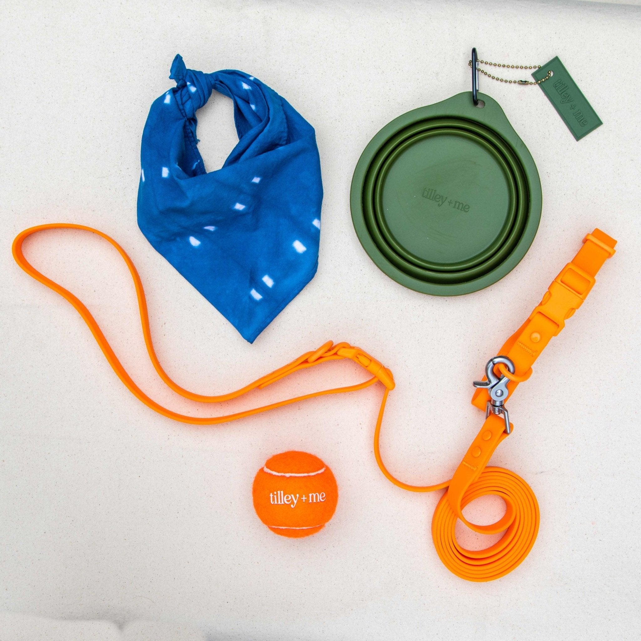 Collapsible Pet Bowl with Clip – Compact, Reusable and Easy to Clean Tilley + Me
