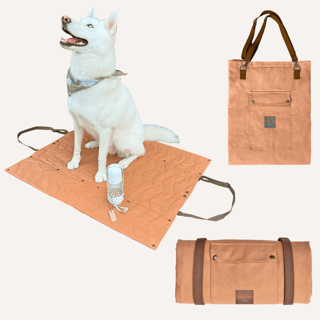 Convertible Dog Bag - Portable Travel Mat Bag for Pet Owners Tilley + Me