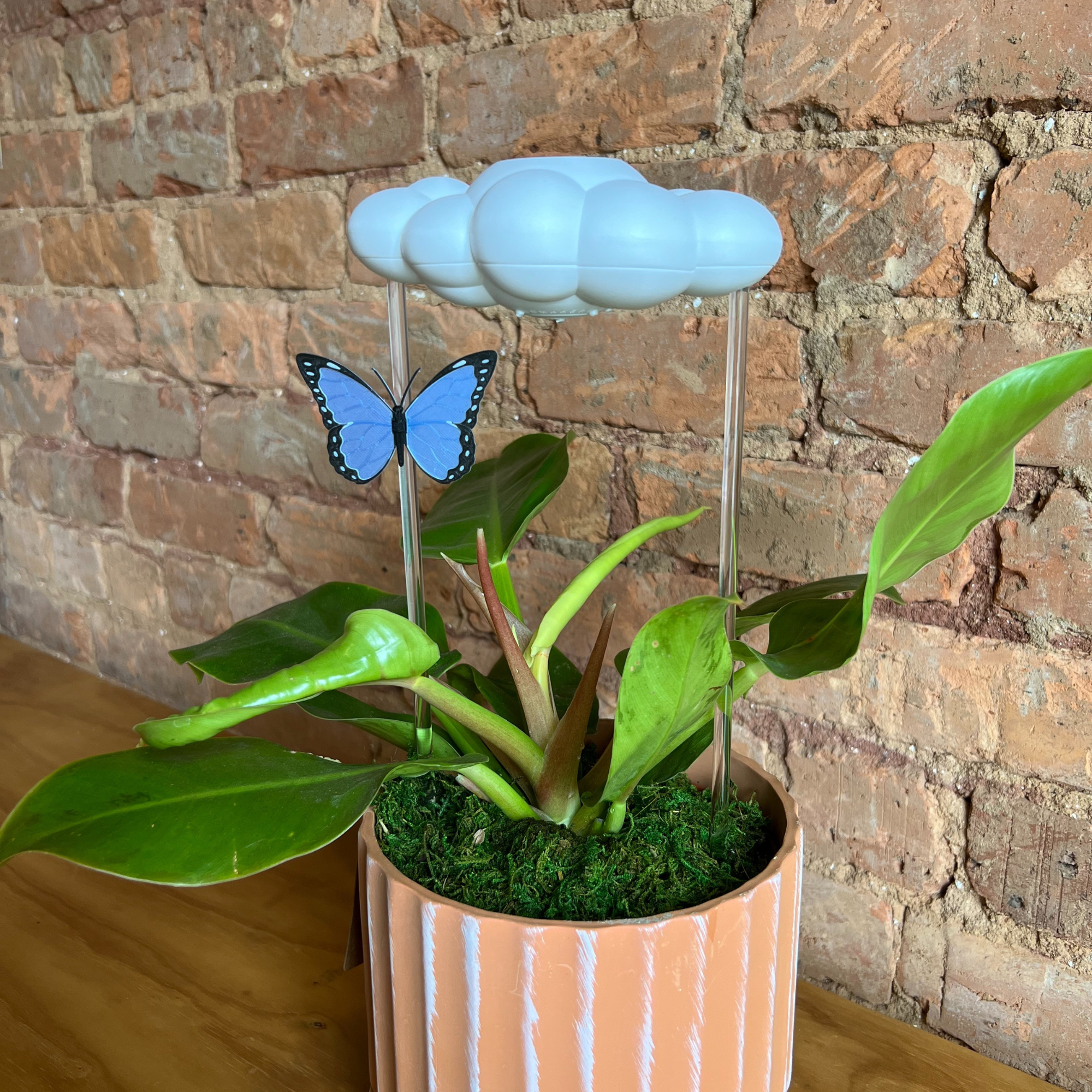 Original Dripping Rain Cloud with Blue Butterfly Charm The Cloud Makers