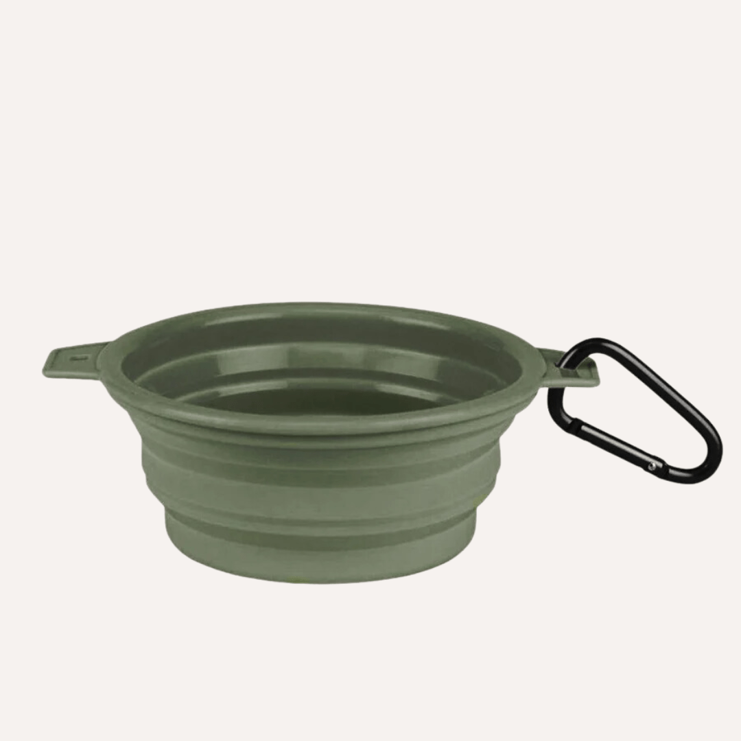Collapsible Pet Bowl with Clip – Compact, Reusable and Easy to Clean Tilley + Me