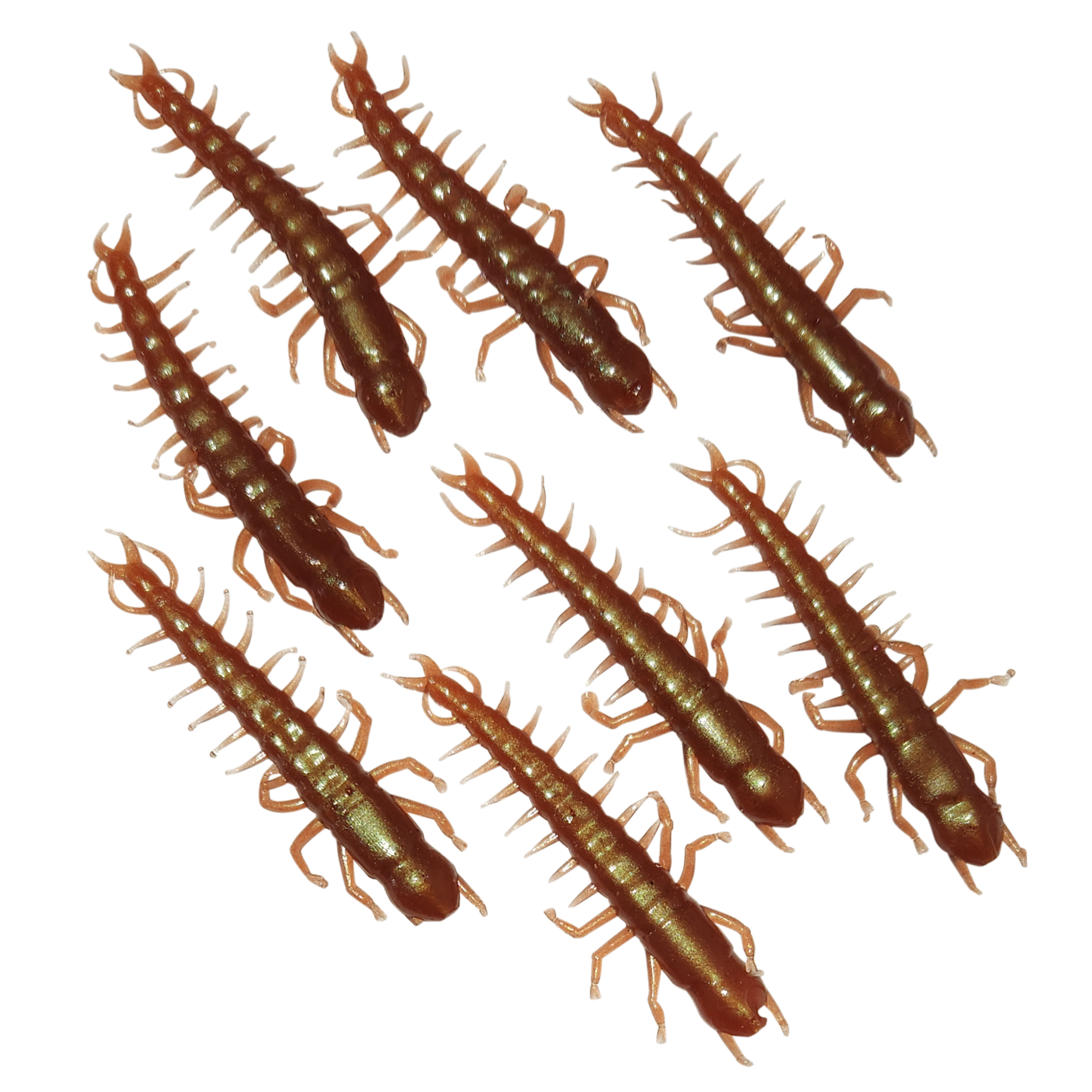 Custom Hellgrammites Angler's Emporium