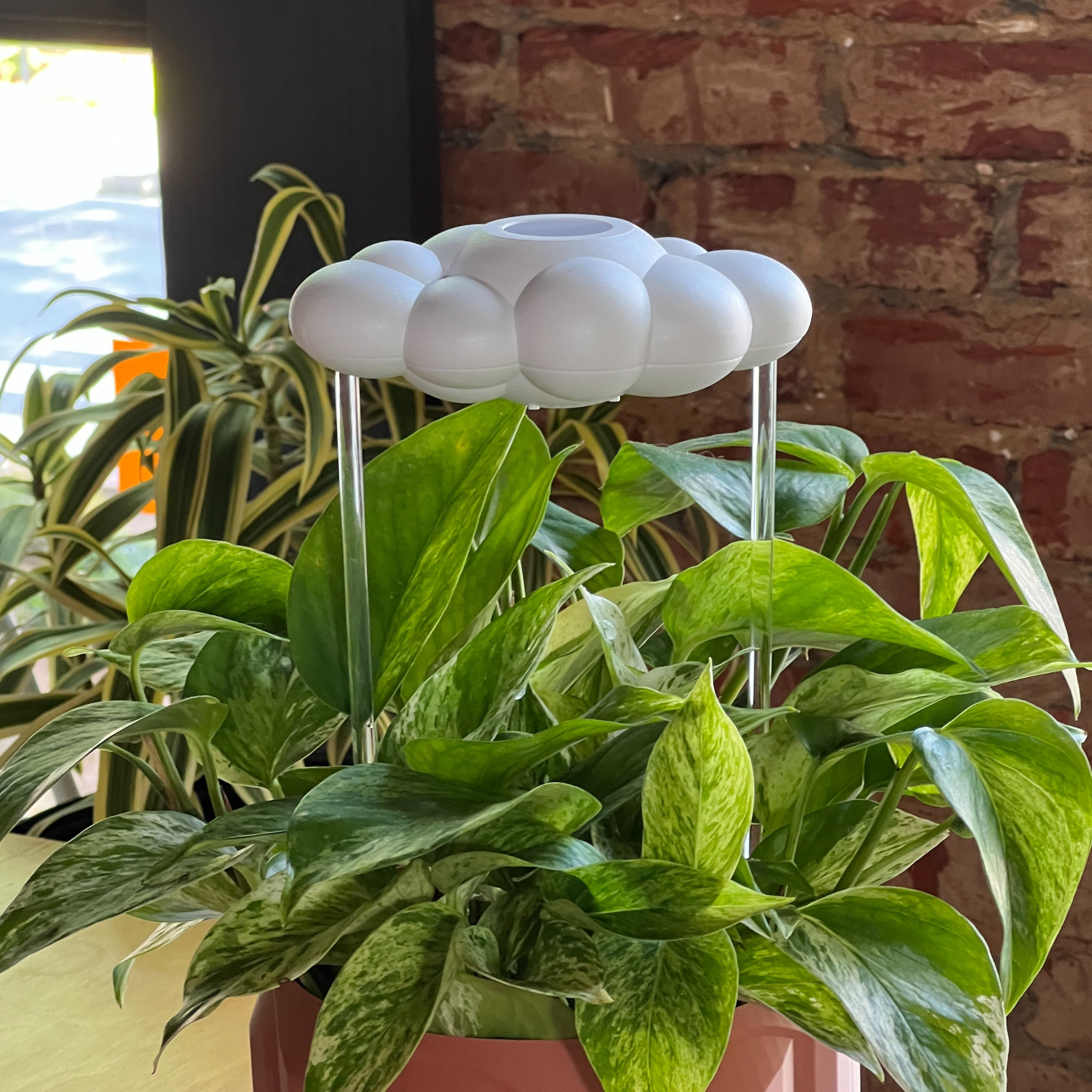 Original Dripping Rain Cloud The Cloud Makers
