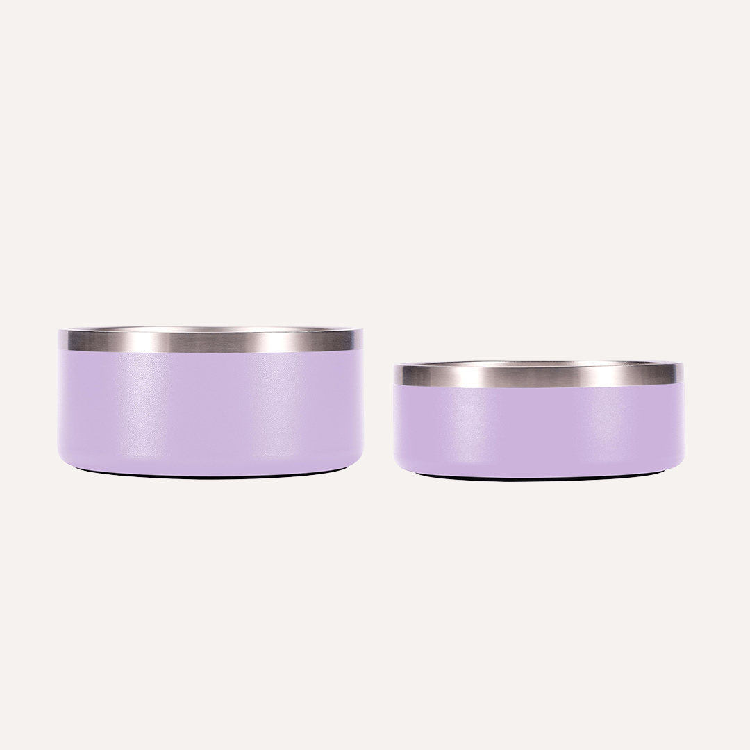 Stainless Steel Pet Bowl – Non-Slip, Durable & Dishwasher Safe | 32oz and 64oz Tilley + Me